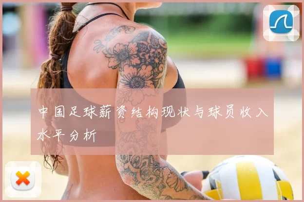 中国足球薪资结构现状与球员收入水平分析