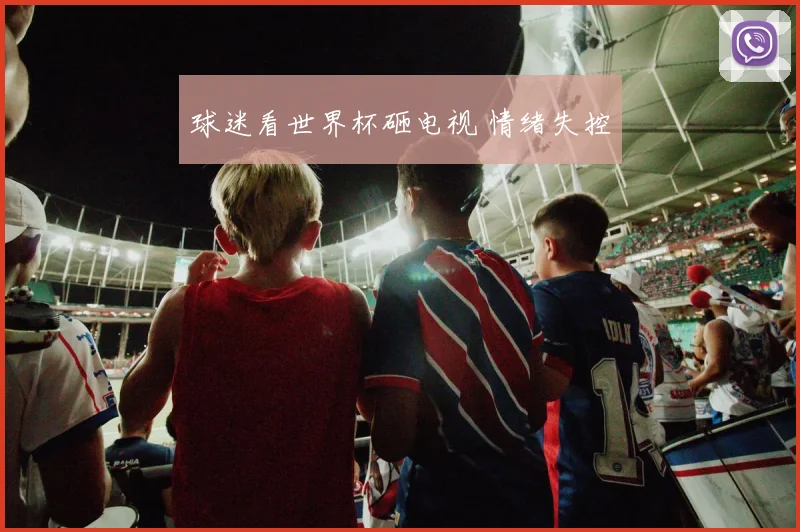 球迷看世界杯砸电视 情绪失控