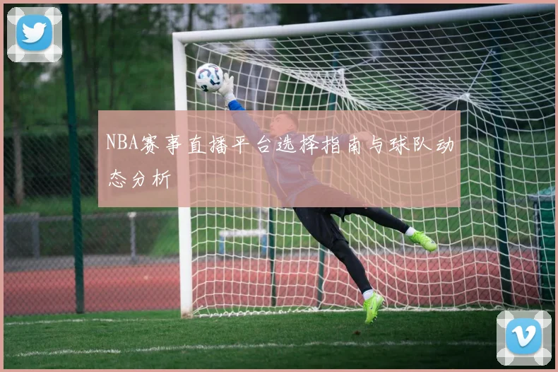 NBA赛事直播平台选择指南与球队动态分析